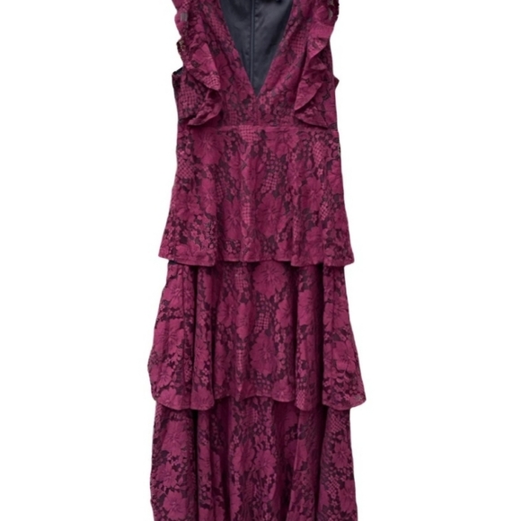 Meet your Posher, Rebecca, Peter, Beau & Duke Golden Retrievers, & Tracey Beagle - Picture 13 of 16